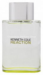 Kenneth Cole Reaction For Men