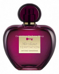 Antonio Banderas Her Secret Temptation